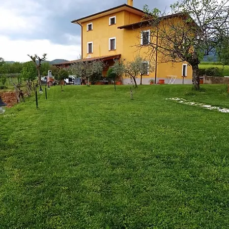 Viale Dei Ciliegi Farma